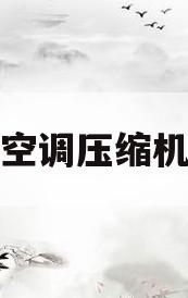 空调压缩机(空调压缩机声音大嗡嗡响怎么回事)
