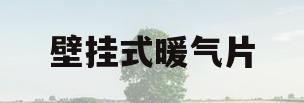 壁挂式暖气片(壁挂式暖气片哪种好)