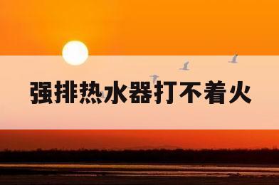 强排热水器打不着火(强排式热水器不好打火)