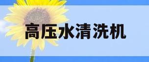 高压水清洗机(高压水清洗机1400公斤出租山东)