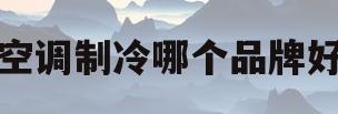 空调制冷哪个品牌好(空调制冷哪个品牌好用)
