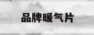 品牌暖气片(品牌暖气片十大名牌排名)