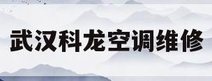 武汉科龙空调维修(武汉科龙空调维修点)