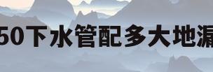 50下水管配多大地漏(下水管是50mm的应该用多少的地漏)