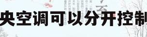中央空调可以分开控制吗(中央空调可以分房间开关吗)