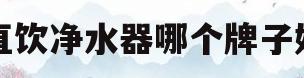 直饮净水器哪个牌子好(直饮净水器哪个牌子好 最新十大排名)