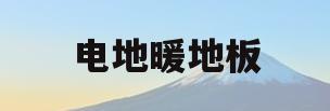电地暖地板(电地暖地板砖多少钱一块)