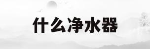 什么净水器(什么净水器好)