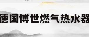德国博世燃气热水器(德国博世燃气热水器冬天不热怎么办)