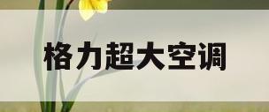 格力超大空调(格力大功率柜式空调)