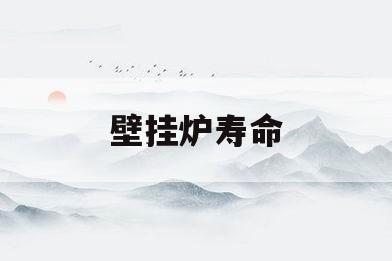 壁挂炉寿命(壁挂炉寿命取决于打火次数吗)
