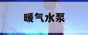 暖气水泵(暖气水泵不转了怎么办)