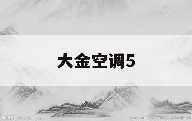 大金空调5(大金空调5匹)