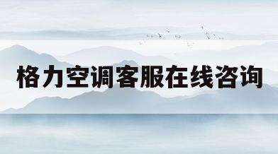 格力空调客服在线咨询(格力空调客服在线咨询售后电话)