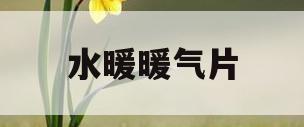 水暖暖气片(水暖暖气片原理)