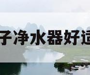 什么牌子净水器好适合家用(什么品牌的净水器好一些 ?家用)