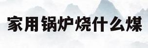 家用锅炉烧什么煤(家用锅炉烧什么燃料省钱)