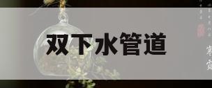 双下水管道(双下水管道安装方法视频)