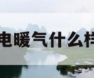 电暖气什么样(电暖气什么样的热)
