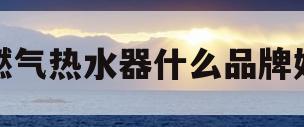 燃气热水器什么品牌好(燃气热水器什么品牌好用)