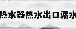 热水器热水出口漏水(热水器热水出口漏水是什么原因)