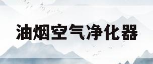 油烟空气净化器(油烟空气净化器过滤网怎么清洗)