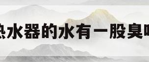 热水器的水有一股臭味(热水器的水有一股臭味可以用吗)