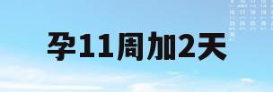 孕11周加2天(孕11周加2天还是孕反难受)