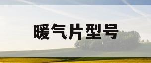暖气片型号(暖气片型号表示什么)