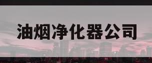 油烟净化器公司(油烟净化器公司名称)