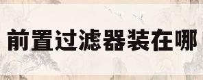 前置过滤器装在哪(全屋前置过滤器有必要安装吗)