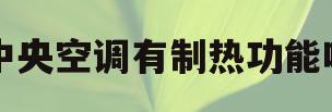 中央空调有制热功能吗(中央空调有制热功能吗冬天)