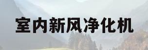 室内新风净化机(新风净化型室内机)