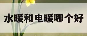 水暖和电暖哪个好(水暖和电暖的优缺点)