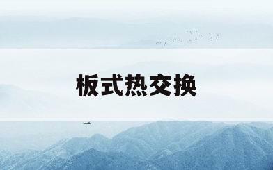 板式热交换(板式热交换器)