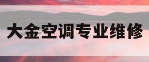 大金空调专业维修(大金空调维修报价单)