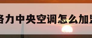 格力中央空调怎么加盟(格力中央空调加盟利润表)