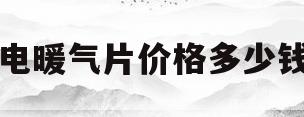 电暖气片价格多少钱(电暖气片一月得多少钱)
