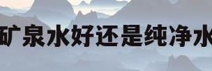 喝矿泉水好还是纯净水好(孕妇喝矿泉水好还是纯净水好)