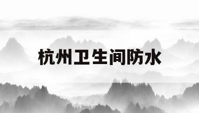 杭州卫生间防水(杭州卫生间防水补漏公司哪家好)