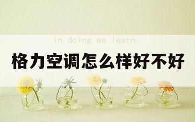 格力空调怎么样好不好(格力空调怎么样好不好质量)
