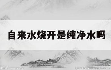 自来水烧开是纯净水吗(自来水烧开是纯净水吗为什么)