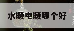 水暖电暖哪个好(水暖便宜还是电暖便宜)