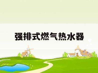 强排式燃气热水器(华帝12升强排式燃气热水器)