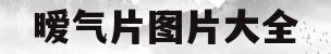 暧气片图片大全(暖气片图片效果图大全及价格)