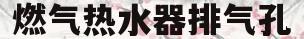 燃气热水器排气孔(燃气热水器排气管可以和烟道合并吗)
