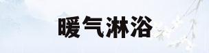 暖气淋浴(暖气淋浴两用炉)