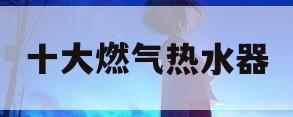 十大燃气热水器(十大燃气热水器排名前十名)