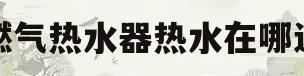 燃气热水器热水在哪边(燃气热水器哪边是热水哪边是冷水视频)