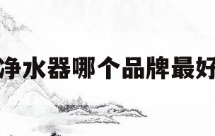 净水器哪个品牌最好(净水器哪个品牌最好最实用耐用)